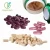 Natural Healthy Food Oyster Meat Extract Powder Oyster Extract