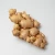 Import New Arrival Thailand Fresh Ginger from Thailand