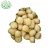 Import New crop 2020 Certified GAP Holland Potatoes Fresh potatoes from China