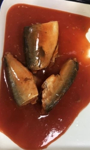 New Crop Canned Mackerel In Brine /Tomato Sauce