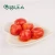 Import new crop canned whole peeled plum tomatoes from China