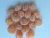 Import new crop dried Kumquat preserved kumquat green kumquat fruit from China