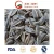 Import New Crop High Quality Sunflower Seeds 601/363 Supplier from China
