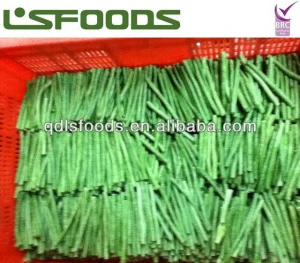 New crop IQF frozen asparagus bean