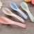 Import New product Wheat Straw Plastic Micro Matcha Sugar Spoon from China
