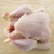 Import NEW Quality Halal Frozen Whole Chicken from South Africa