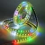 Import new single-point control method SK6812 12V DC flexible led strip IP68 waterproof from China