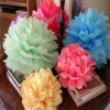 new year 2021 Wedding Decoration Materials Hot Selling Tissue Paper Pompoms
