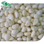 nitrogen filled garlic clove fresh garlic/peeled garlic cloves