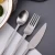 Import Nordic commercial stainless steel cutlery flatware matte gold colored silverware spoon fork set dinner knife flatware from China