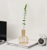 NORDIC DECOR INS HOT SELLING HOME DECORATION WATER PLANTS METAL CAGE GLASS TABLETOP  VASE