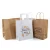 Import Oem Custom Printed Your Own Logo White Brown Kraft Gift Craft Shopping Kraft Paper Bag With Handles from China