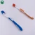 Import OEM Personal oral care good quality home use plastic adult tooth brush from China