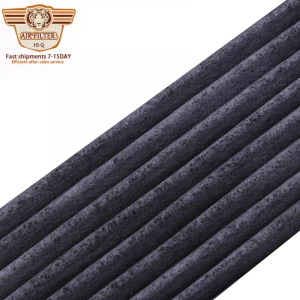 OEM quality car auto accessories air filter