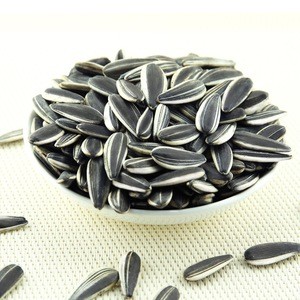 Organic Sunflower Seeds Raw High Quality Kernel,