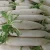 Import Original fresh white radish from China