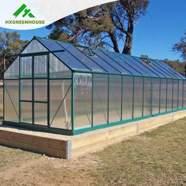 PC sheet frame low cost polycarbonate used commercial greenhouse sale green house agricultural other single-span greenhouses