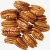 Import Pecan Nut, Roasted Salted Pecans/Raw Pecan Nuts With Shell from Germany
