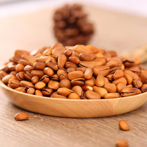 pine nut with shell high quality pine nut Pine nut prices