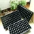 Import plastic seedling tray 200 cells for greenhouse for sale from China