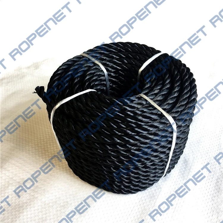 Polyester Rope Twisted 3 Strands PET Twist Rope in Coil