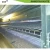 Import Poultry Cage System Chicken PP/Polypropylene Manure Conveyor Belt from China