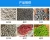 Import PP resin  recycled/Virgin granules/ plastic scrap/Pellets from China