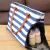 Import Premium Pumping Bag Spectra Stylish Tote Moms  Blue  White Stripes Breast Pump Bags from China