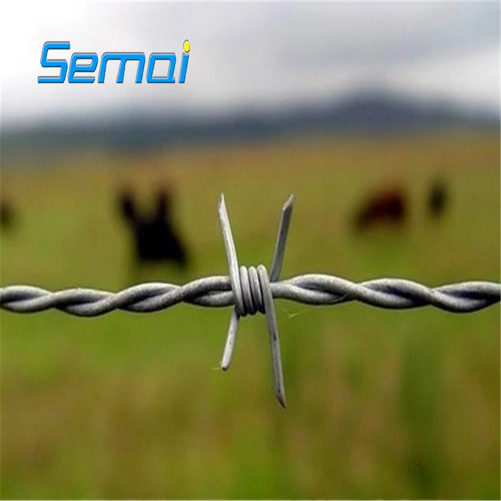 price meter barbed wire in egypt,galvanized barbed wire