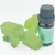Import Private Label 100% Buy Pure 10ml Lavender Peppermint Eucalyptus Tea tree Aromatherapy Essential Oil from China