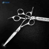 Professional 6 inch Salon Equipment Hair Cutting Thinning Scissors
