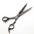 Import Professional best Hair Dressing scissors Stylist Salon Barber Product Shears cutting Scissors from China