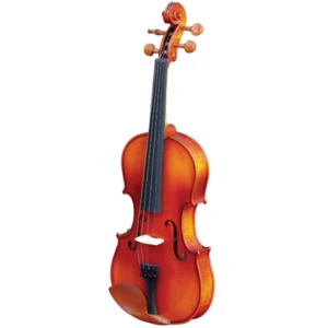 Professional handmade violin