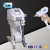 Import Professional q switched nd:yag laser price/tattoo removal machine 532nm 1064nm tip from China