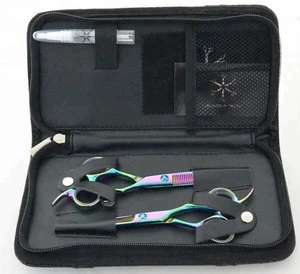 Professional Salon Hair Cutting Thinning Scissors Barber Shears Hairdressing Set