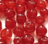 Promotion Fresh Dried Cherry (Red, Green, Yellow)