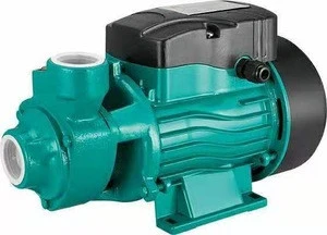 QB-60 Electric Small Power 1/2 hp Domestic Cast Iron Housing Clean Water peripheral Pump