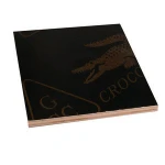 Qingdao EVERISE Film Faced Plywood