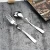 Import Restaurants Home Kitchen Use Antifouling Stainless Steel Knife Spoon Fork Set Forks from China