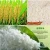 Import rice mill machinery price from China
