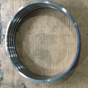 Ring Joint Gasket Oval type SS304 SS316 Gaskets