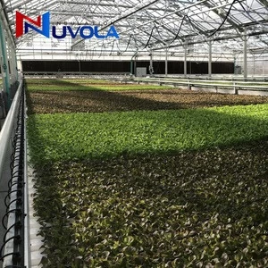rockwool hydroponic slabs grow rock wool