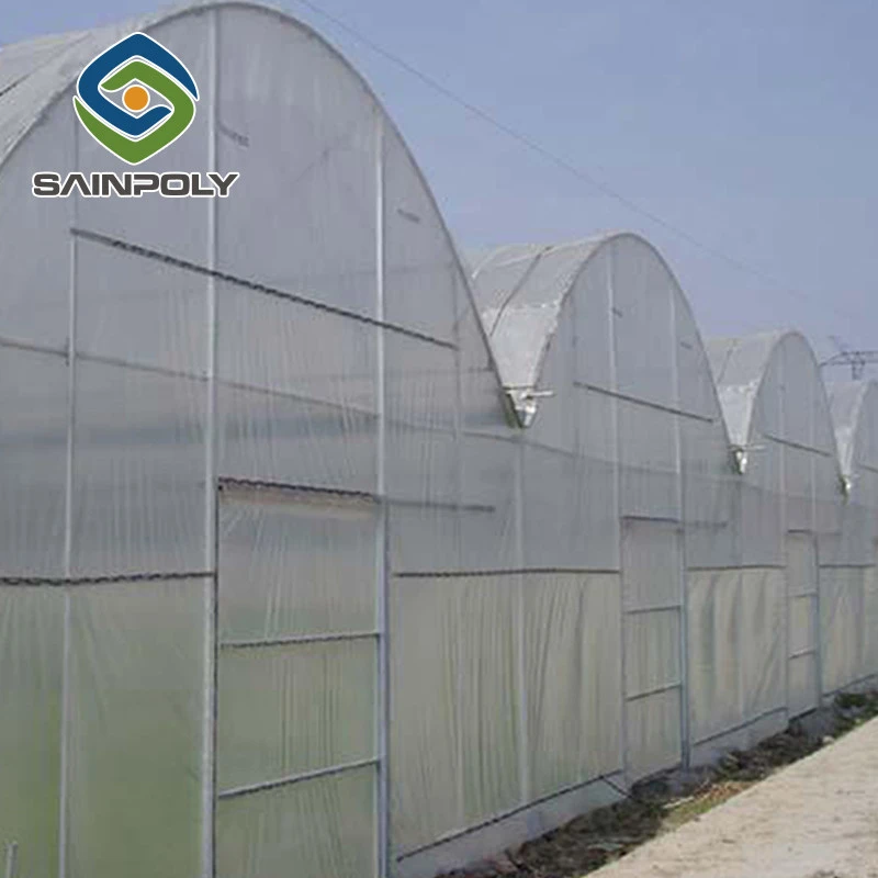Sainpoly Cheap Invernadero Multi-span Plastic Film Green House Greenhouses Frame
