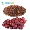 Sephcare natural pigment anthocyanin 95% in grape seed extract