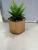 Import set of 3 Mini Artificial Plants Plastic Green Grass Cactus with Special Golden Can Pot Design from China