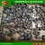 Import Shredwell High Efficiency Metal Crusher For Scrap Drum Recycling from China