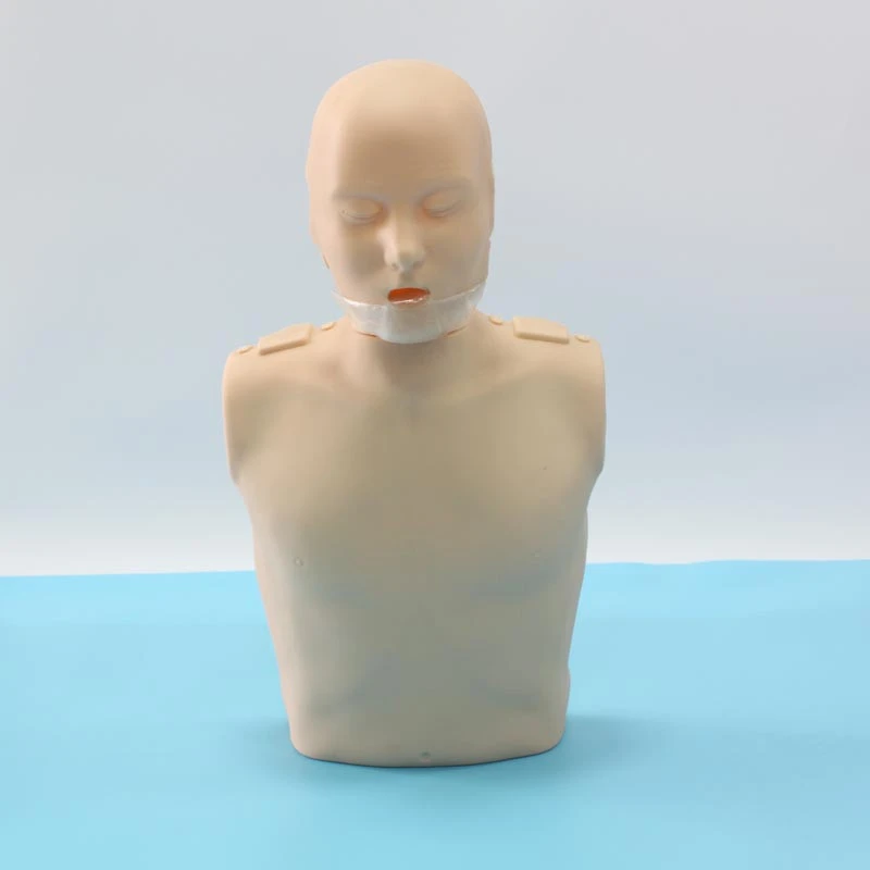Skin Color Made In China Training And High Quality Trainer Hot Child Model Adult Cpr Manikins