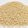 Sortex Factory Supplier Quinoa Grain