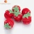Import Strawberry Hair Care Foam Soft Round Sponge Balls Curlers Hair Roller Bun Tool from China