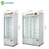 Supermarket Ice Cream Freezer, Glass double door deep  display cooler